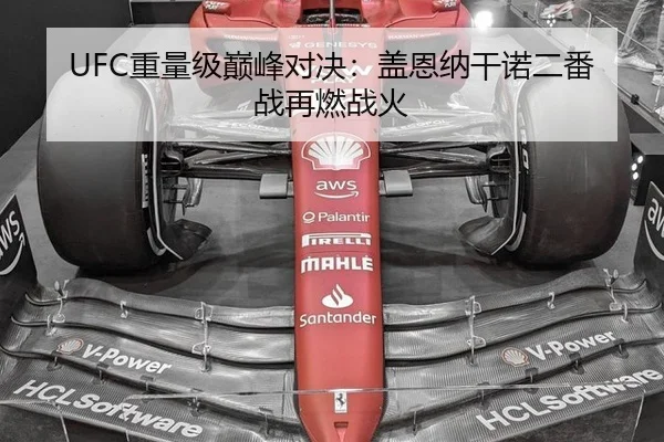 UFC重量级巅峰对决：盖恩纳干诺二番战再燃战火