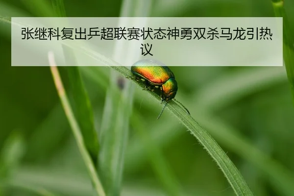 zhang-ji-ke-fu-chu-ping-chao-lian-sai-zhuang-tai-shen-yong-shuang-sha-ma-long-yin-re-yi-3-563.jpg