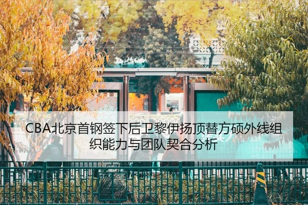 bei-jing-shou-gang-qian-xia-hou-wei-li-yi-yang-ding-ti-fang-shuo-wai-xian-zu-zhi-neng-li-yu-tuan-dui-qi-he-fen-xi-2-856.jpg