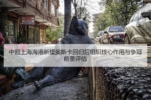 中超上海海港新援奥斯卡回归后组织核心作用与争冠前景评估