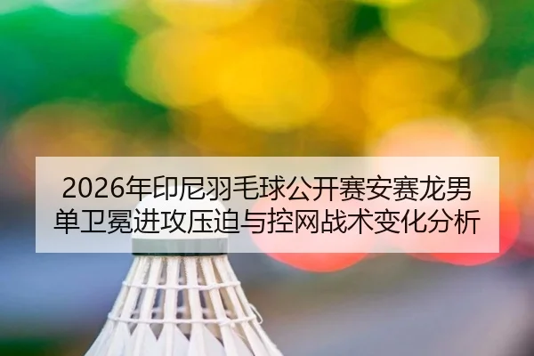 nian-yin-ni-yu-mao-qiu-gong-kai-sai-an-sai-long-nan-dan-wei-mian-jin-gong-ya-po-yu-kong-wang-zhan-shu-bian-hua-fen-xi-2-638.jpg