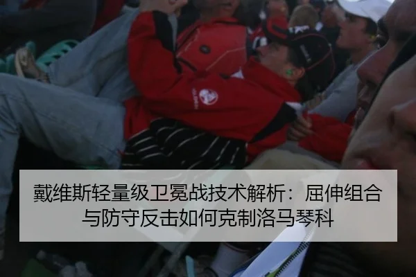 戴维斯轻量级卫冕战技术解析：屈伸组合与防守反击如何克制洛马琴科